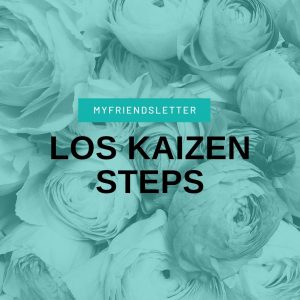 Kaizen Steps