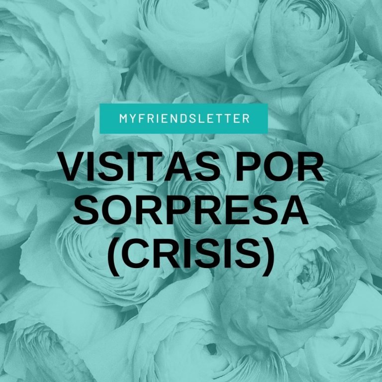 Més informació sobre l'article Visitas por sorpresa: La Señorita Crisis