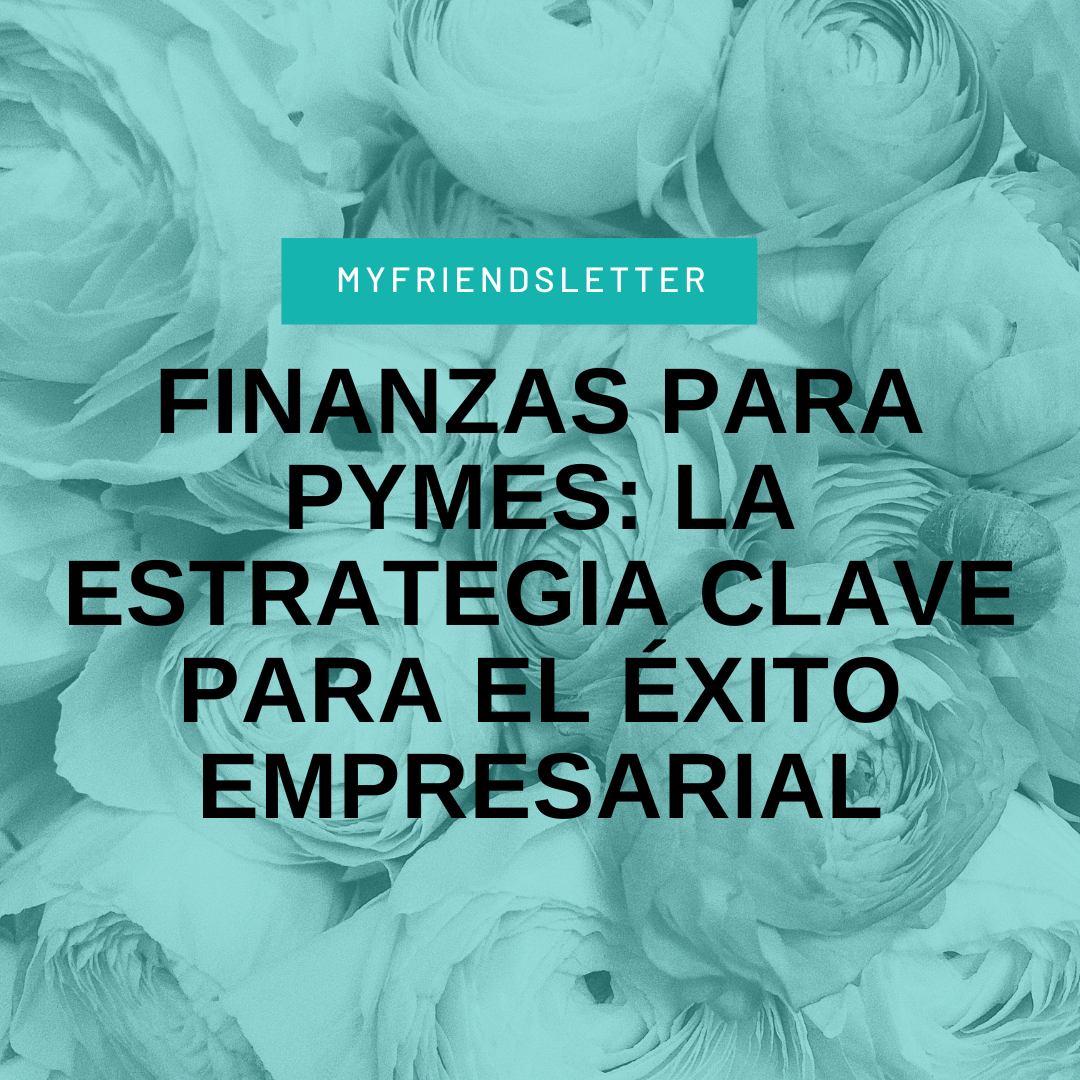 En este momento estás viendo Finanzas para PYMES: La Estrategia Clave para el Éxito Empresarial